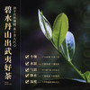 岩语 厚韵中火大红袍 特级武夷岩茶乌龙茶花香茶叶盒装送礼144g 商品缩略图5