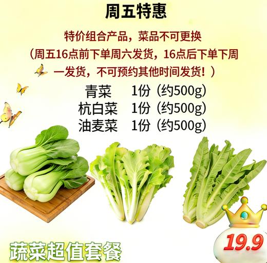 【每周特惠】生态蔬菜超值体验套餐-（青菜 杭白菜 油麦菜各一斤） 商品图0