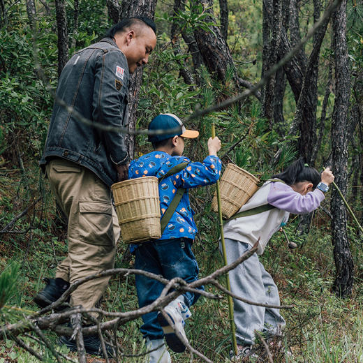 【云南】田园牧歌记 6天5晚亲子 商品图0