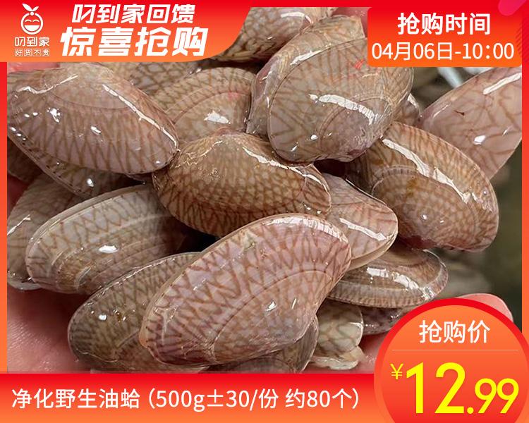 净化野生油蛤（500g±30/份 约80个）