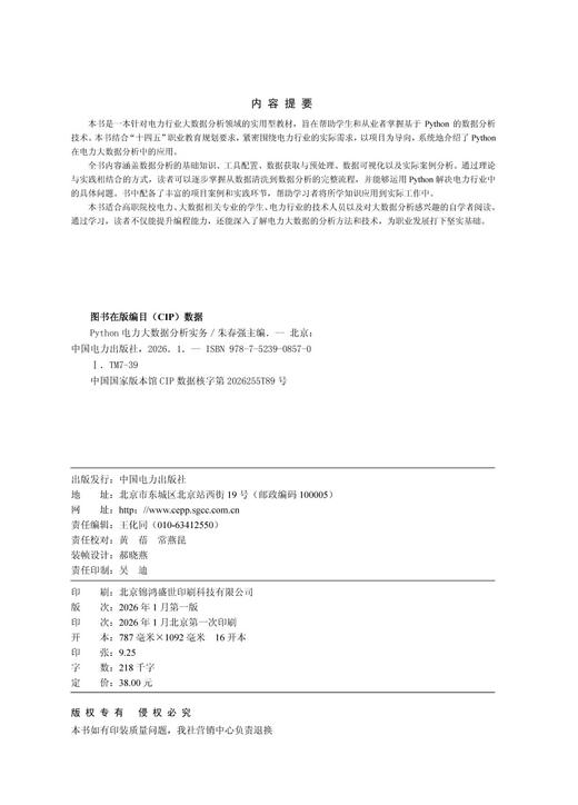 Python 电力大数据分析实务 商品图3