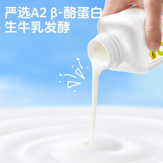 认养一头牛 低温益生菌酸奶（原味/无蔗糖）200g 商品图6