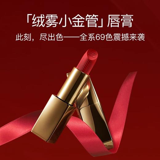 【跨境】雅诗兰黛纯色金管唇膏#333 3.5g（效期：2028/02） 商品图1