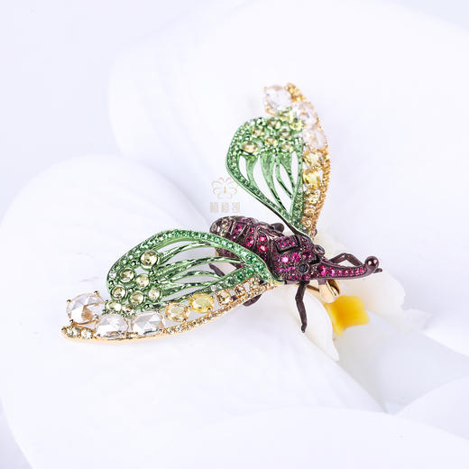 【夏日精灵】红宝石龙眼鸡胸针 商品图4