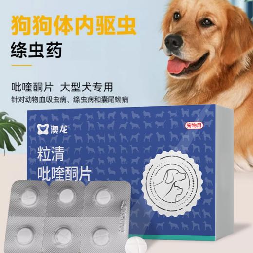 【Ramical雷米高】犬用中大型犬狗狗体内驱虫打虫药体内吡喹酮片(驱虫一粒清）6片 商品图1
