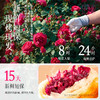 【预售】现烤头水花玫瑰鲜花饼  9枚礼盒装  嘉华鲜花饼 商品缩略图7