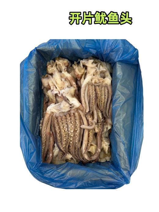 开片鱿鱼头 商品图0
