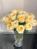 黄色单头玫瑰20枝 商品缩略图3