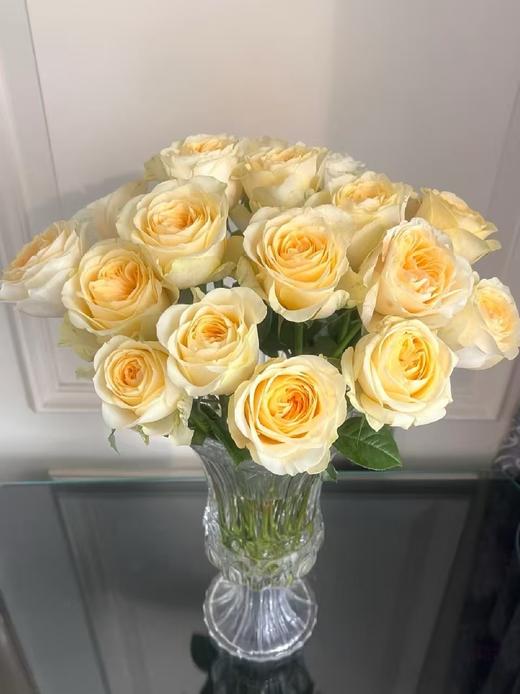 黄色单头玫瑰20枝 商品图3