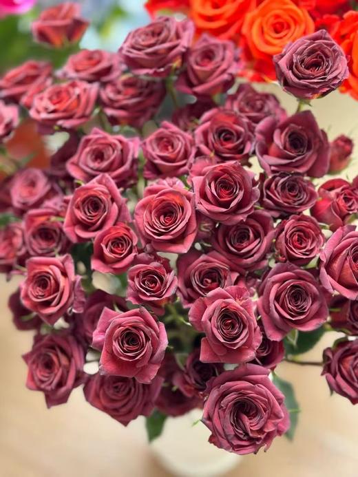 咖啡色多头玫瑰10枝 商品图1