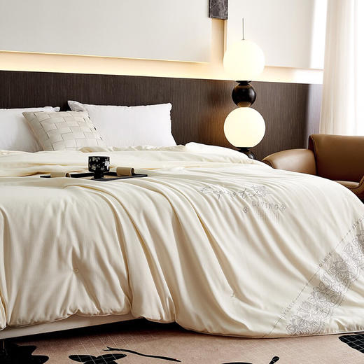 LHX8419蚕丝被 商品图3