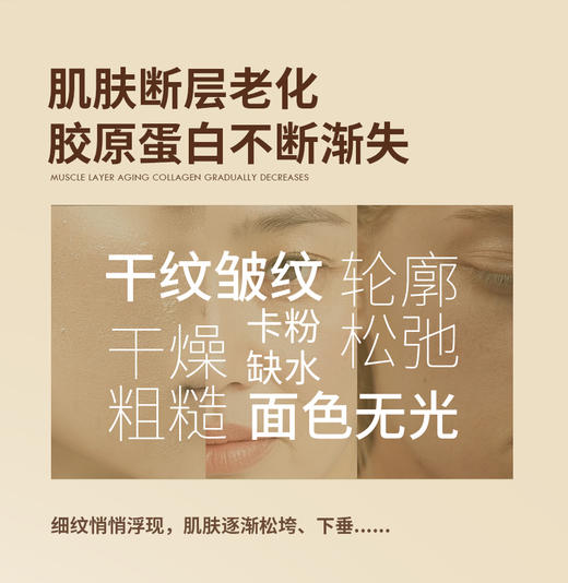 植然日季-抗初纹提弹补水奶浆面膜/舒缓修肤纯露面膜/植然日季-美白祛斑焕肤面膜(10片装/盒)  面膜 面贴 商品图9