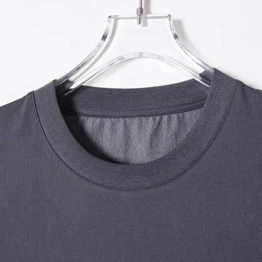 SDSA男装2026新款轻奢国潮简约苹果字母小标印花设计圆领短袖T恤 商品图1