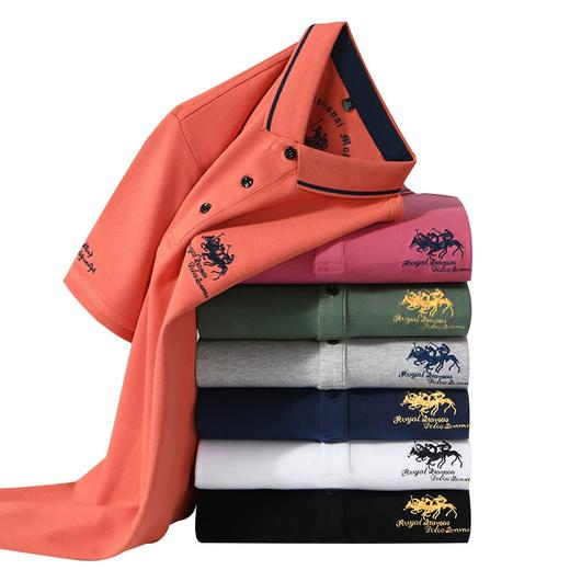 派森龙夏季纯棉翻领刺绣男220g粗珠男士POLO衫 商品图4