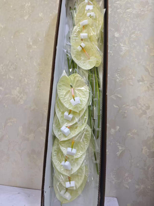 【彩掌】奶白色  单枝 商品图3