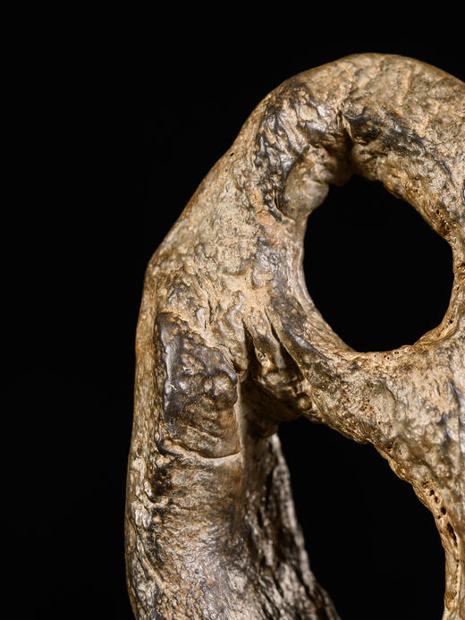 清	灵璧石“吟月”双洞天文房赏石（红木座） 商品图4