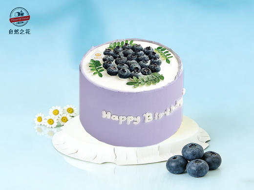 【蓝莓物语】健康少糖更好吃，新鲜现做 商品图0