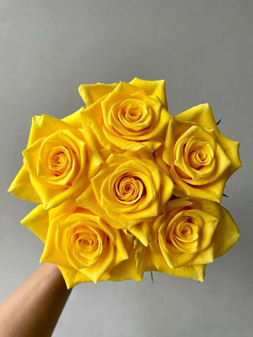 黄色单头玫瑰20枝 商品图1