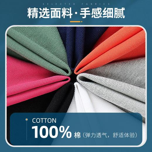 派森龙夏季纯棉翻领刺绣男220g粗珠男士POLO衫 商品图3