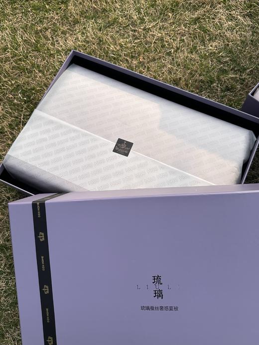 代字行  | 琉璃蚕丝奢感夏被55%桑蚕丝填充凉感蚕丝被200*230 商品图1