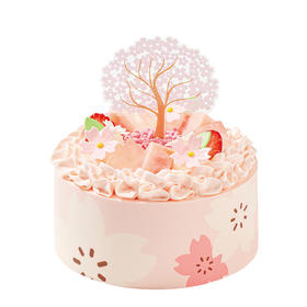 缤纷樱花