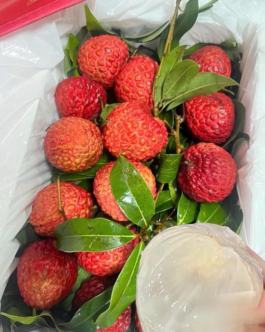 【预售】桂花香荔枝 软滑 多汁 清甜 自带桂花香气  整箱3斤装 商品图1