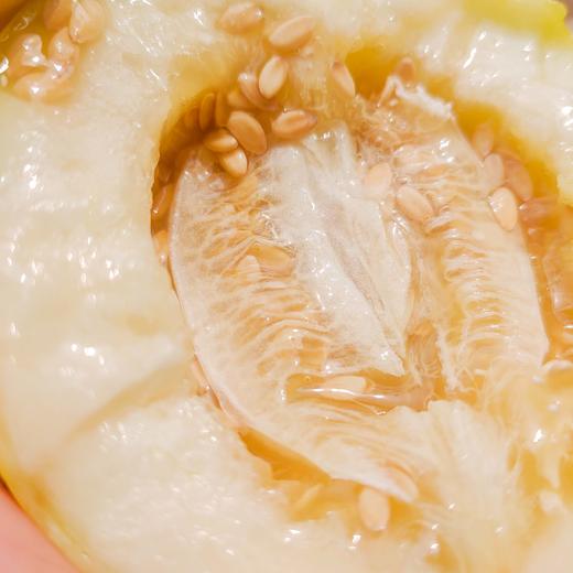 山东临沂小蜜蜂蜜罐甜瓜 净重3-4.5斤装 应季水果 商品图6