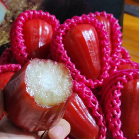 海南 黑金刚莲雾 净重5斤