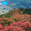 第四届贵州花季徒步节｜五一特别版 寻找贵州山野里的映山红花海 5日 商品缩略图0