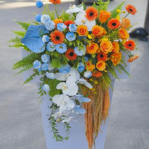 衡光-蝴蝶兰掌混搭讲台花 商品图0