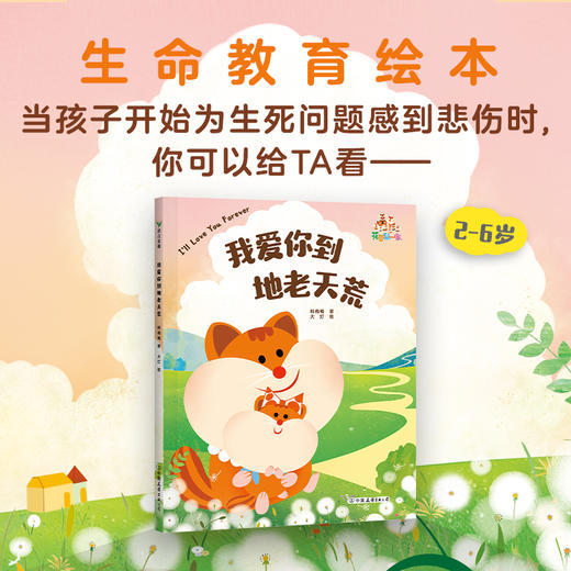 我爱你到地老天荒 商品图0