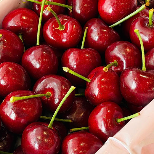 大连美早樱桃 精品 顺丰空运 产地直发 商品图3