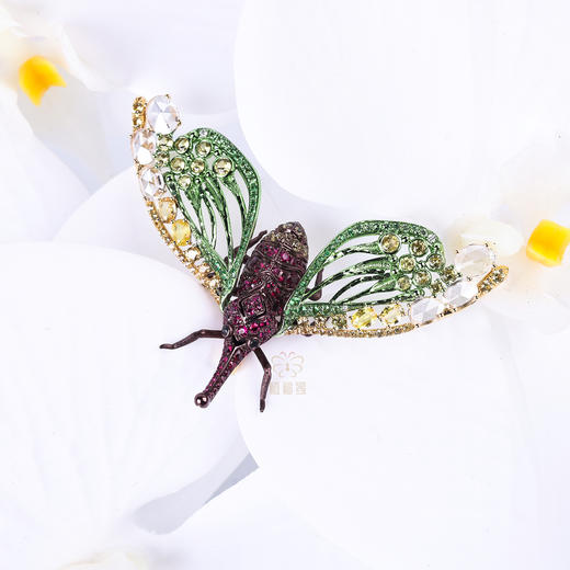 【夏日精灵】红宝石龙眼鸡胸针 商品图5