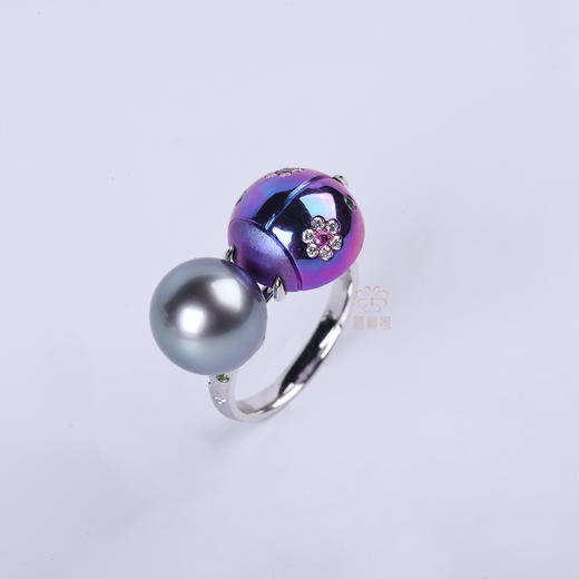 【富甲一方】黑珍珠钛金戒指ZZ12510036 商品图1