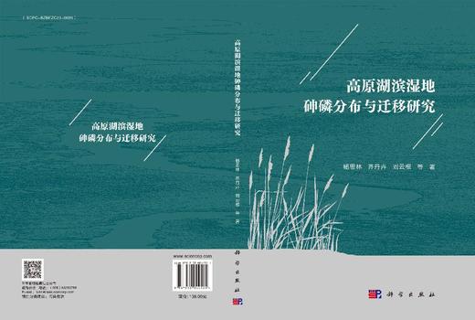 高原湖滨湿地砷磷分布与迁移研究 商品图3