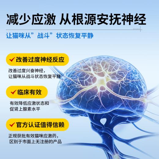 佳巴静加巴喷丁片剂宠物猫咪专用舒缓情绪防应激口炎尿闭止疼痛药 商品图6