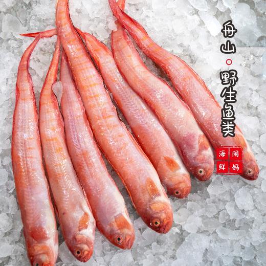 【闹妈海鲜】舟山热气海鲜红带鱼肉肥刺少 油润 一斤1-2条左右 商品图3