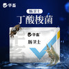 华畜肠卫士100g 添加丁酸梭菌 维持肠道生态稳定 商品缩略图0