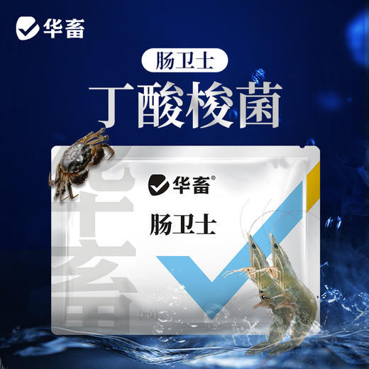 华畜肠卫士100g 添加丁酸梭菌 维持肠道生态稳定 商品图0