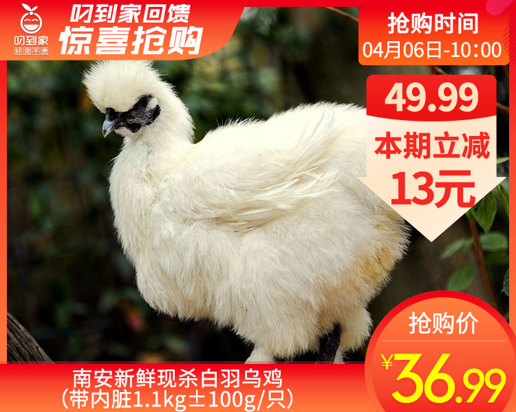南安新鲜现杀白羽乌鸡（带内脏1.1kg±100g/只）