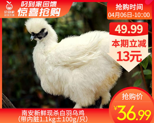 南安新鲜现杀白羽乌鸡（带内脏1.1kg±100g/只） 商品图0