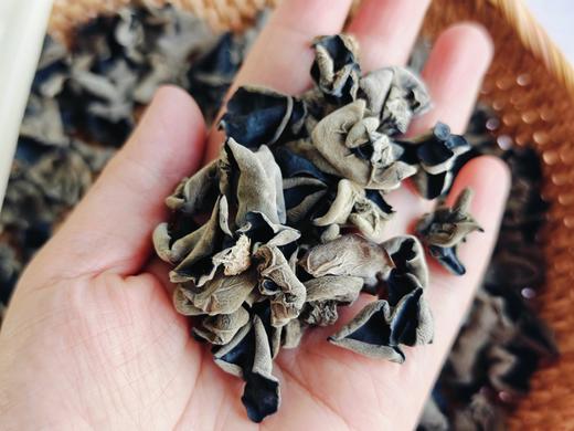 东北小碗秋木耳 商品图3