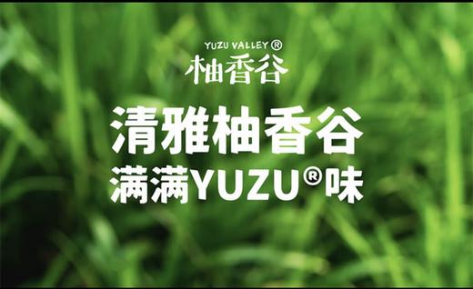 柚香谷宋柚复合果汁饮料 商品图3