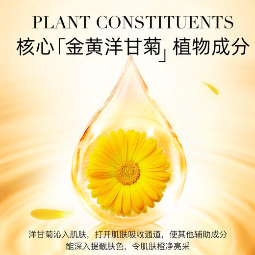 【慕斯质地 ！ 高保湿力】慕斯女孩洋甘菊滋润面膜保湿补水男女可用水润肌肤护肤品。xb 商品图2