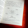 学前融合教育教师的课程决策研究 特殊幼儿早期教育 商品缩略图9