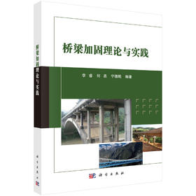 桥梁加固理论与实践 9787030846266