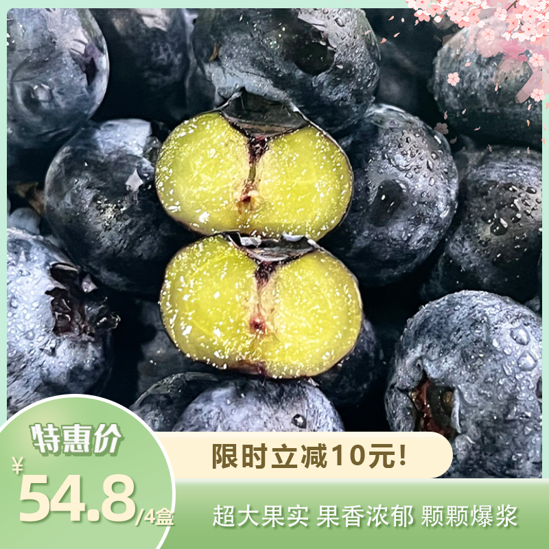 云南高原蓝莓 |花香蓝莓 超大果实 果香浓郁 颗颗爆浆 富含大量花青素 颗颗精品 吸塑盒包装搭配顺丰空运运输