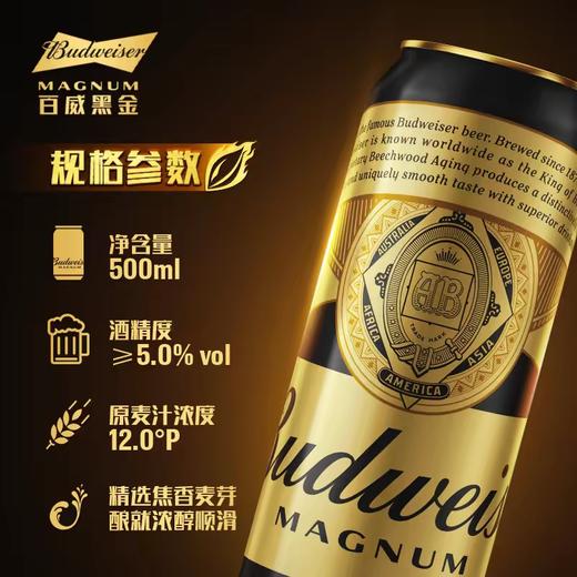 百威黑金啤酒5度12P500ml 商品图0