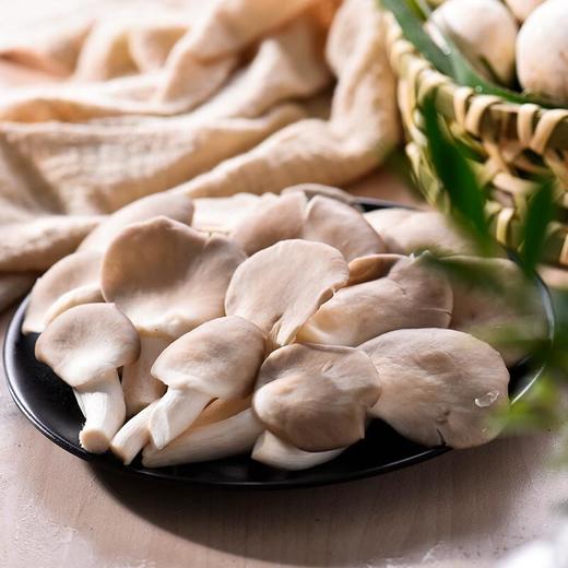 那云那南有机小平菇150g/份 商品图1