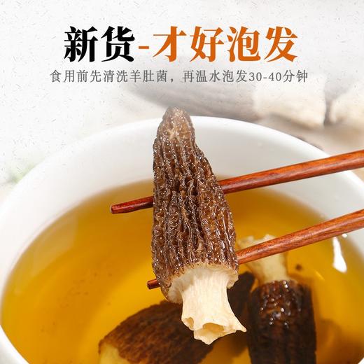 【耘林优选专属】云南精品剪柄羊肚菌20g 商品图4